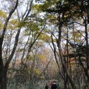 사라 - 금정구 금정로68번길 12-18 | 사라