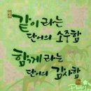 양구 나비야 이미지