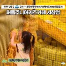 시흥 대형키즈카페 퍼플주니어 인천서창점 5세 주말 널널후기
