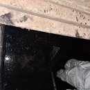 세희농장 이미지