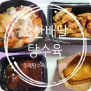 수제탕수육 명가 홍탕 | [내돈내산] 수제탕수육명가홍탕오산점｜추억의 김피탕과 홍탕대표탕수육 솔직후기