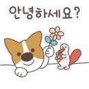 약국은 허준 이미지