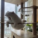 송현근 태권도 아카데미(167) | 힘들 때 웃는자가 일류