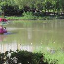 정원 수정소 이미지