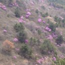 강서체육공원 이미지