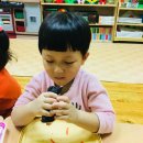 정택이네 김밥 Daum카페