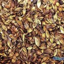 개나리민박 이미지