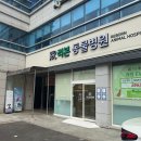용동물병원 | 광주동물병원 강아지 건강검진 화정동 리본동물병원 내돈내산 찐후기