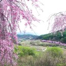 수양1길 이미지