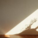 가정지업사 이미지