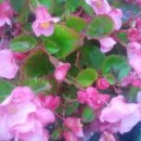 구연4로 이미지