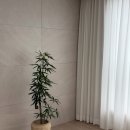 샵:플랜트+팟 | 샵:플랜트 팟