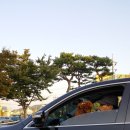 현대석회주식회사 네이버블로그