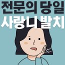 시흥 사랑니 치과는 당일 내원, 당일 발치 이미지