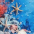 울알라애견미용 이미지