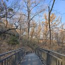 오동근린 공원화장실 이미지