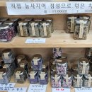 차오롯