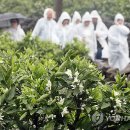 신효동-21 이미지