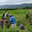 생태연못 이미지