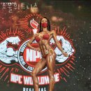 소울 피트니스 이미지