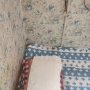 월드파크장 이미지