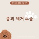 얼바인동물병원 이미지