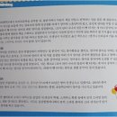 영어는판다쌤