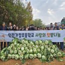 가정초등학교 이미지