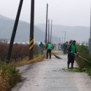 수청/수청부녀 이미지