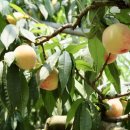 남원유통 이미지