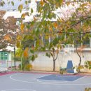 청소년수련관 농구장 이미지