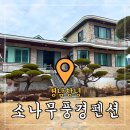 소나무풍경펜션 | 창녕 카라반 &#39;소나무풍경펜션&#39; 조용하고 아늑한 숙소