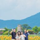 [일원3] 마음을 담은 색연필화 | [경주의 시간을 담는 스냅_오늘은 경주] 두돌기념스냅, 3대가 함께한 경주 가족스냅 with 해바라기
