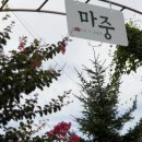 카페마중