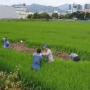 진량읍 상림리 이미지