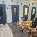 오산영만초등학교 이미지