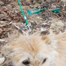 교곡1리 이미지