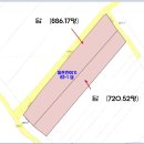 마중리 Daum카페