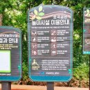 황토길에서