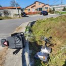 백건스쿠터 이미지