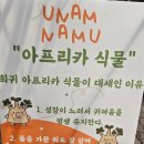 우남 | 양재 꽃시장 식물 쇼핑 후기｜우남화원 아프리카 식물부터 청짜보까지(with 영업시간, 주차비)