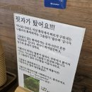 <국내 여행> 태안 2박 3일 태안 게국지 맛집, 숙소 추천 후기/ 태안 튤립축제/ 태안 디저트 맛집