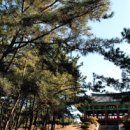 권세산업