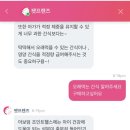 심쿵펫 이미지