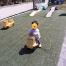 오떼떼 그린 네이버블로그
