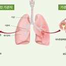 혜인한의원 이미지