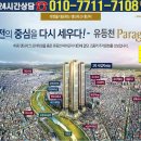 대전 유등천 조망 동양파라곤 49층 940세대 아파트 분양소식 이미지