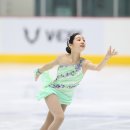 신지아