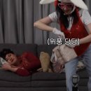 피키픽쳐스 이미지