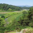 일삼삼숙성고기 석관점 | 수락대구곡(예천) / 사물재 송상천 ; 학림 권방